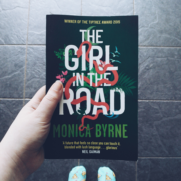 Cover of The Girl In The Road