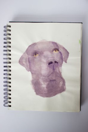 dog watercolour painting